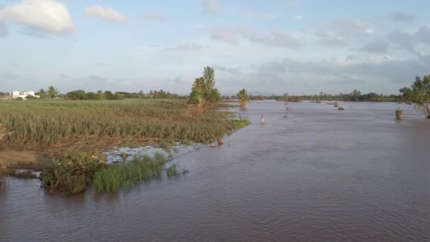 Kolhapur India Julio 2021 Una Vista General Río Panchganga Inundado — Vídeos de Stock