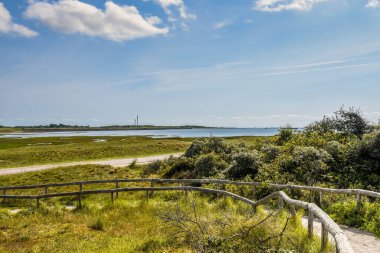 Texel, Hollanda 'da. Eylül 2021. Teksas adasında Heather 'la kumul manzarası.
