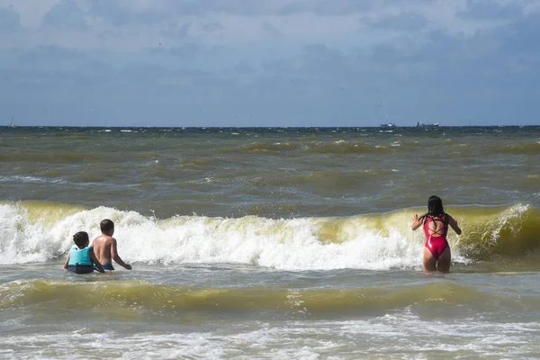 Callantsoog, Hollanda - Eylül 2021. Kuzey denizinde sörf yapan çocuklar.
