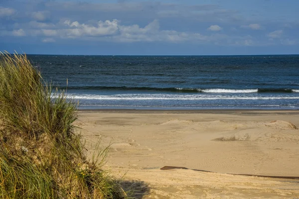 Den Helder, Hollanda - Eylül 2021. Hollanda 'daki Den Helder ve Callanstoog plajları.