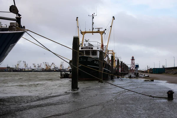 Den Oever, Hollanda. Ocak 2022. Hollanda, Den Oever Limanı 'nda gelgit yükseliyor..