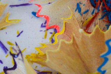 Hollanda, Şubat 2022. Beyaz arkaplanda kalem açacağı.