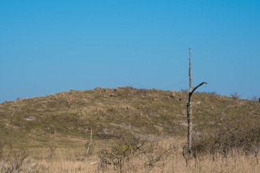 Callantsoog, Hollanda, Mart 2022. Kuzey Hollanda 'da Callantsoog yakınlarındaki kumul manzarası.
