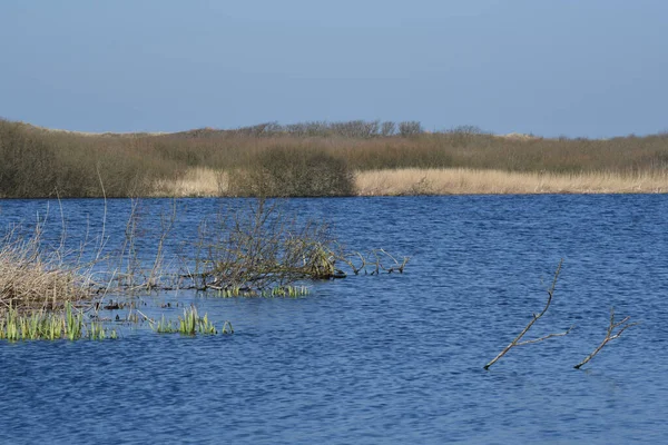 Callantsoog, Hollanda, Mart 2022. Kuzey Hollanda 'da Callantsoog yakınlarındaki kumul manzarası.
