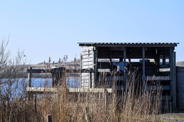 Callantsoog, Hollanda, Mart 2022. Kuş derisi Zwanenwater 'da