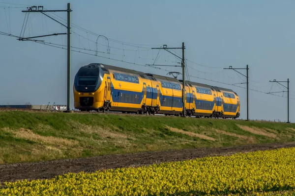 Amsterdam, Hollanda, Mart 2022. Manzarada ve merkez istasyonda Hollanda treni