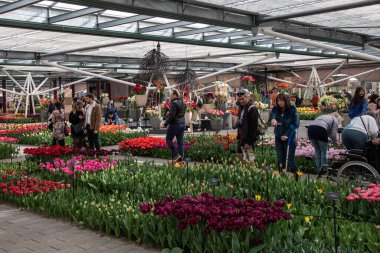 Lisse, Hollanda, Nisan 2022. Keukenhof 'da çiçek ve lalelerle kaplı bir köşk. Yüksek kalite fotoğraf