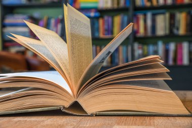 Hollanda, Nisan 2022. Kitaplığın arka planına karşı kitap açmak. Yüksek kalite fotoğraf.