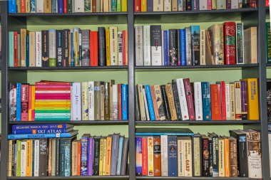 Lisse, Amsterdam, Nisan 2022. Renkli çiçek yatakları ve Keukenhof 'taki turistler..