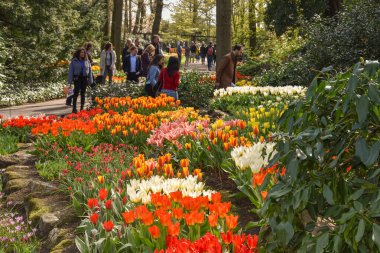 Lisse, Amsterdam, Nisan 2022. Renkli çiçek yatakları ve Keukenhof 'taki turistler..