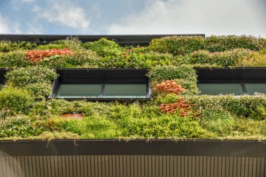 Almere, Hollanda, Mayıs 2022. Floriade Expo 2022, Almere 'deki aeres akademisi. Yüksek kalite fotoğraf