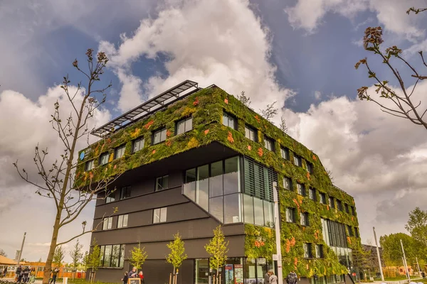 Almere, Hollanda, Mayıs 2022. Floriade Expo 2022, Almere 'deki aeres akademisi. Yüksek kalite fotoğraf