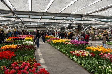 Lisse, Hollanda, Mayıs 2022. Keukenhof 'daki çiçekli seralar, Lisse. Yüksek kalite fotoğraf
