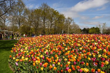 Lisse, Amsterdam, Nisan 2022. Renkli çiçek yatakları ve Keukenhof 'taki turistler. Yüksek kalite fotoğraf