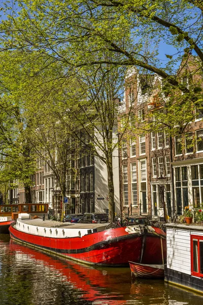 Amsterdam Hollanda Mayıs 2022 Amsterdam Daki Krom Boomsloot Taki Eğimli — Stok fotoğraf