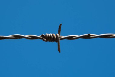 Den Helder, Hollanda, Mayıs 2022. Mavi arka planda dikenli telleri kapatın. Yüksek kalite fotoğraf