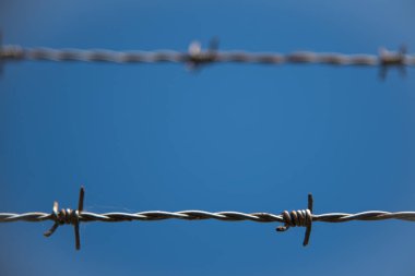 Den Helder, Hollanda, Mayıs 2022. Mavi arka planda dikenli telleri kapatın. Yüksek kalite fotoğraf