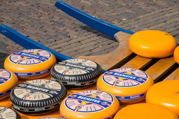 2022年5月 オランダのアルクマール アルカールチーズ市場のチーズバー 高品質の写真 — ストック写真