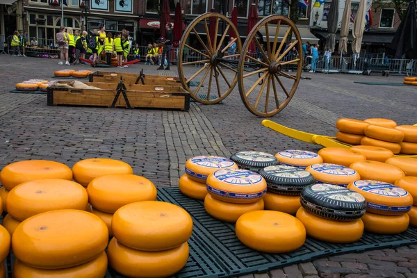 Alkmaar Holandia Maj 2022 Pokazywane Sery Targu Serów Alkmaar Wysokiej — Zdjęcie stockowe