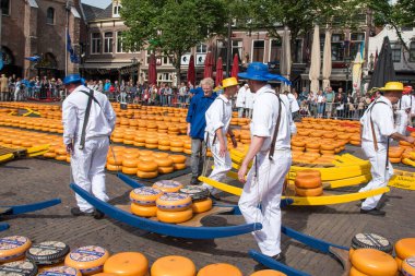Alkmaar, Hollanda, Mayıs 2022. Alkmaar peynir pazarındaki peynir taşıyıcıları. Yüksek kalite fotoğraf
