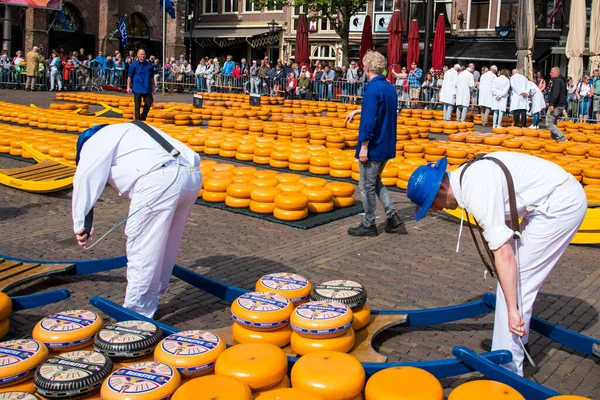 Alkmaar, Hollanda, Mayıs 2022. Alkmaar peynir pazarındaki peynir taşıyıcıları. Yüksek kalite fotoğraf