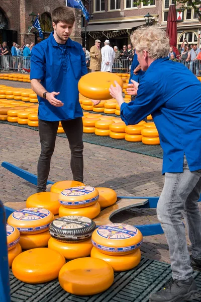 Alkmaar Nederländerna Maj 2022 Ostbärarna Med Sin Färgade Halmhatt Alkmaars — Stockfoto