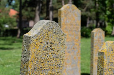 Den Helder, Hollanda, Haziran 2022. Den Helder mezarlığındaki harap olmuş Yahudi mezarları. Yüksek kalite fotoğraf. Seçici odak.