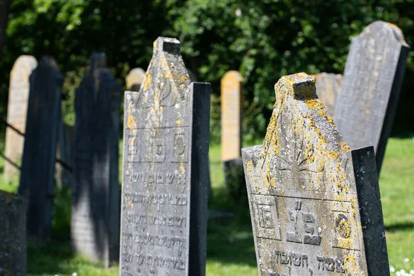 オランダのデン ヘルダー 2022年6月 ヘルダーの墓地にある古い荒れ果てたユダヤ人の墓 高品質の写真 選択的焦点 — ストック写真