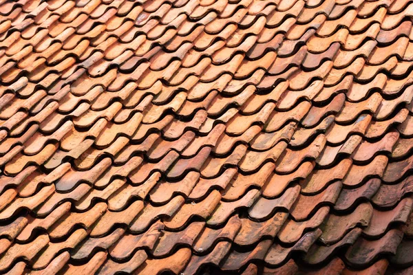 Enkhuizen Netherlands June 2022 Canvas Roof Tiles High Quality Photo — Stockfoto