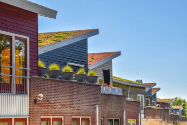 Den Helder, Netherlands. June 2022. Environmentally friendly roofs in a residential area in Den Helder. High quality photo