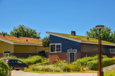Den Helder, Netherlands. June 2022. Environmentally friendly roofs in a residential area in Den Helder. High quality photo