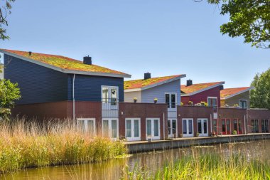 Den Helder, Netherlands. June 2022. Environmentally friendly roofs in a residential area in Den Helder. High quality photo