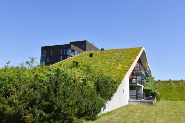 Den Helder, Netherlands. June 2022. Environmentally friendly roofs in a residential area in Den Helder. High quality photo