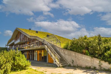 Den Helder, Netherlands. June 2022. Environmentally friendly roofs in a residential area in Den Helder. High quality photo