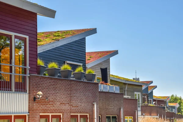 Den Helder Hollandia 2022 Június Környezetbarát Tetők Egy Lakóövezetben Den — Stock Fotó