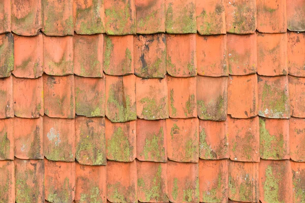 Koog Aan Zaan Netherlands July 2022 Background Red Roof Tiles — Photo