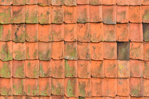 Koog Aan Zaan Netherlands July 2022 Background Red Roof Tiles — Stockfoto