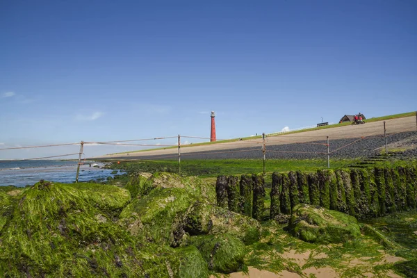 Den Helder Netherlands July 2022 Lighthouse Den Helder Low Tide — Photo