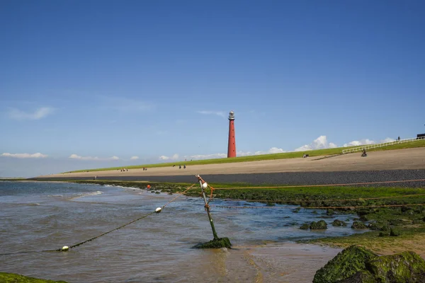 Den Helder Netherlands July 2022 Lighthouse Den Helder Low Tide — Photo