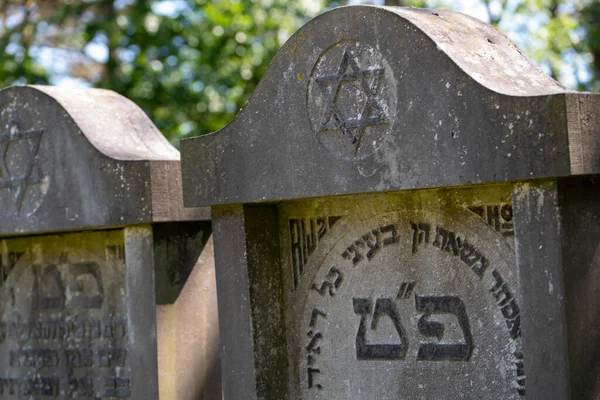オランダのデン ヘルダー 2022年6月 ヘルダーのユダヤ人墓地の古い老朽化した墓 高品質の写真 選択的焦点 — ストック写真