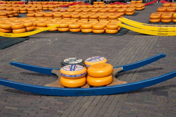 Alkmaar, Hollanda, Mayıs 2022. Alkmaar peynir pazarındaki peynir taşıyıcılarını kapatın. Yüksek kalite fotoğraf