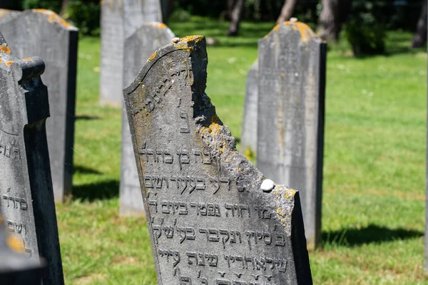 オランダのデン ヘルダー 2022年6月 ヘルダーのユダヤ人墓地の古い老朽化した墓 高品質の写真 選択的焦点 — ストック写真