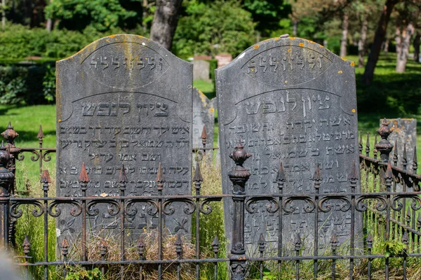 Den Helder Netherlands June 2022 Old Dilapidated Jewish Graves Cemetery — Stock Photo, Image