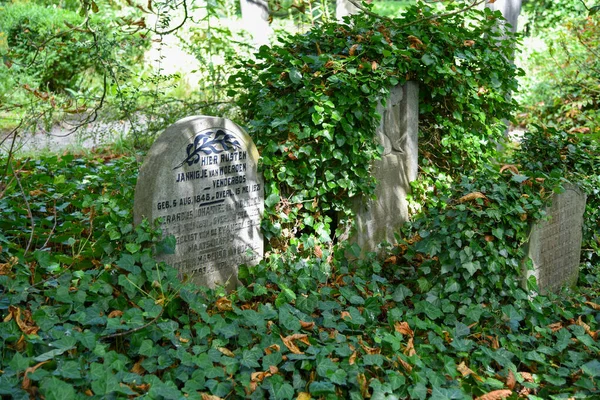 Amsterdam Netherlands July 2022 Overgrown Graves Oldest Cemetery Amsterdam High — Zdjęcie stockowe