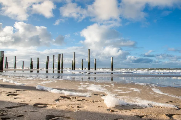 Petten Aan Zee Netherlands January 2021 Wooden Poles Palendorp Beach — Stock Photo, Image