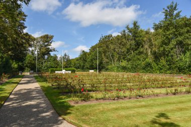 Texel, Netherlands. August 2022. The georgians' war cemetery on the island of Texel. High quality photo