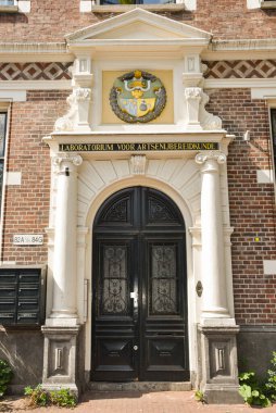 Amsterdam, Hollanda. Ağustos 2022. Amsterdam 'daki Tıp Fakültesi' ne giriş. Yüksek kalite fotoğraf