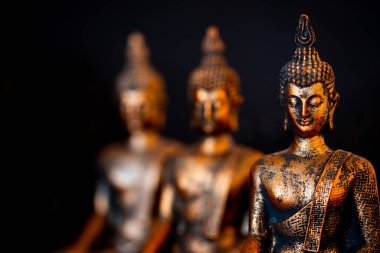 Hollanda 'da. Ekim 2022. Buda heykeli sakin bir duruş içinde. Shakyamuni Buddha üç dünya dininden biri olan ruhani bir öğretmendir. Yüksek kalite fotoğraf