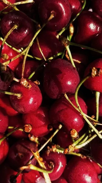 fresh sweet red cherry