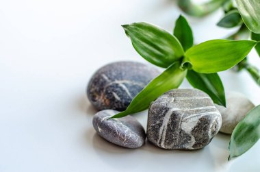 Bambu, temiz bir zeminde deniz taşları. Spa konsepti.